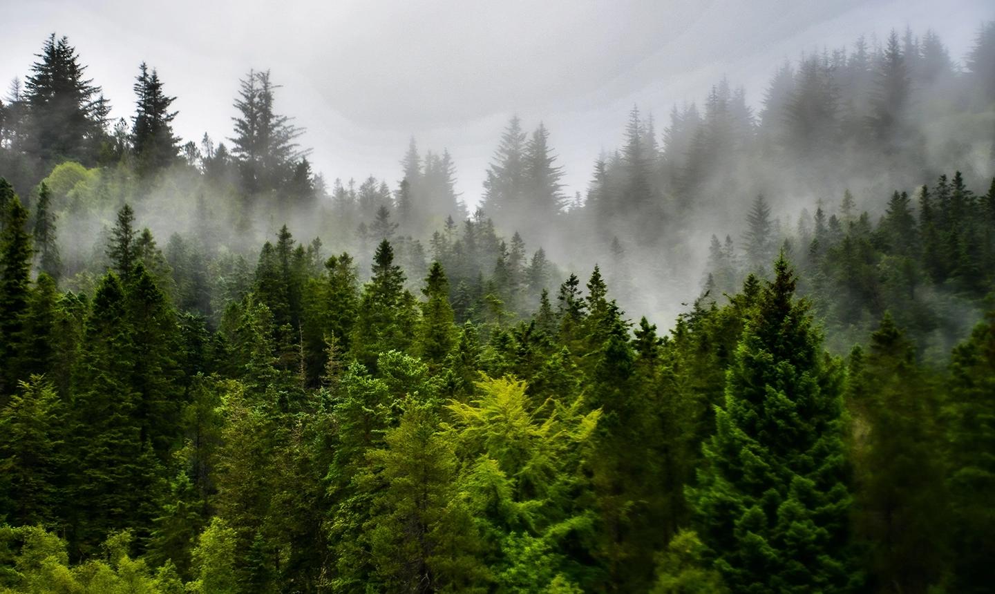 Männer-Intimgesundheit – Magazin